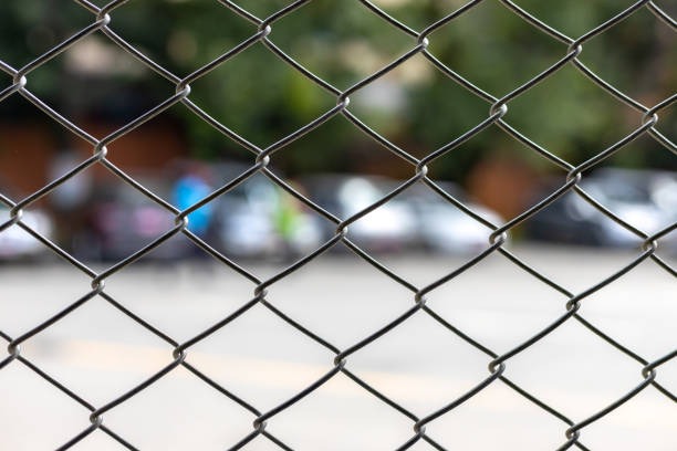 Zaeune im Vergleich was Hausbesitzer wissen sollten