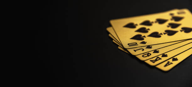 Online Casino Singapore Sites for Different Gaming Preferences